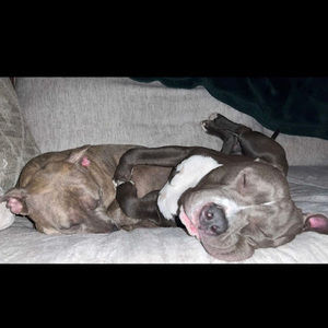 Meet your Posher, Ella reese